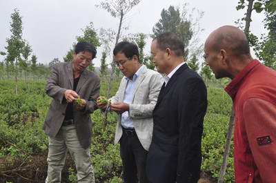 华州区科协举办全国科普日系列活动之四 中药材种植技术培训会 精准服务助力产业振兴