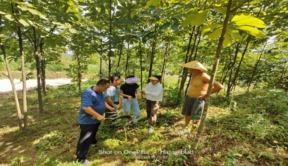 贵州省农科院中药材所深入江口县特色田园乡村示范点，提供专业中药材种植技术服务